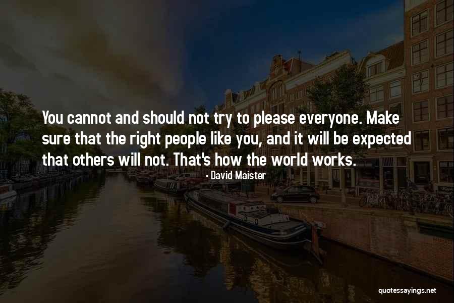 Tex Se Hinton Quotes By David Maister Tex Se Hinton Quotes By David Maister