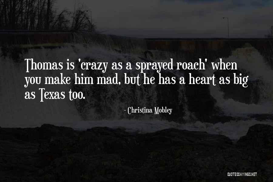 Texas Big Quotes By Christina Mobley Texas Big Quotes By Christina Mobley
