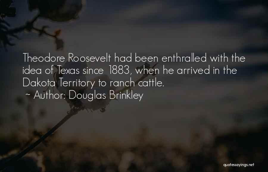 Texas Quotes By Douglas Brinkley