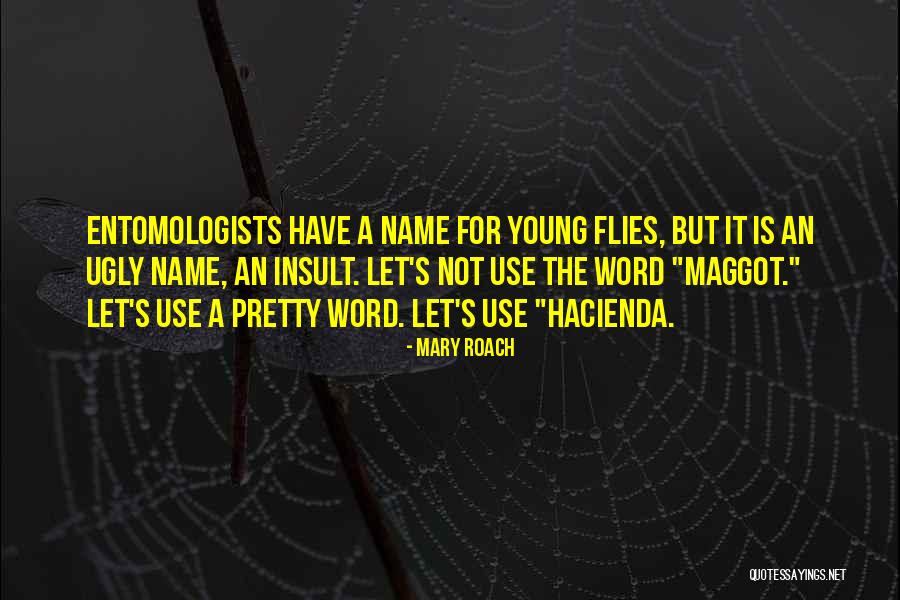 Teyona Anderson Quotes By Mary Roach Teyona Anderson Quotes By Mary Roach
