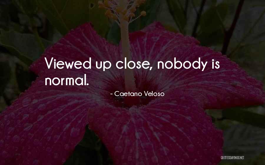 Tezuna Quotes By Caetano Veloso Tezuna Quotes By Caetano Veloso