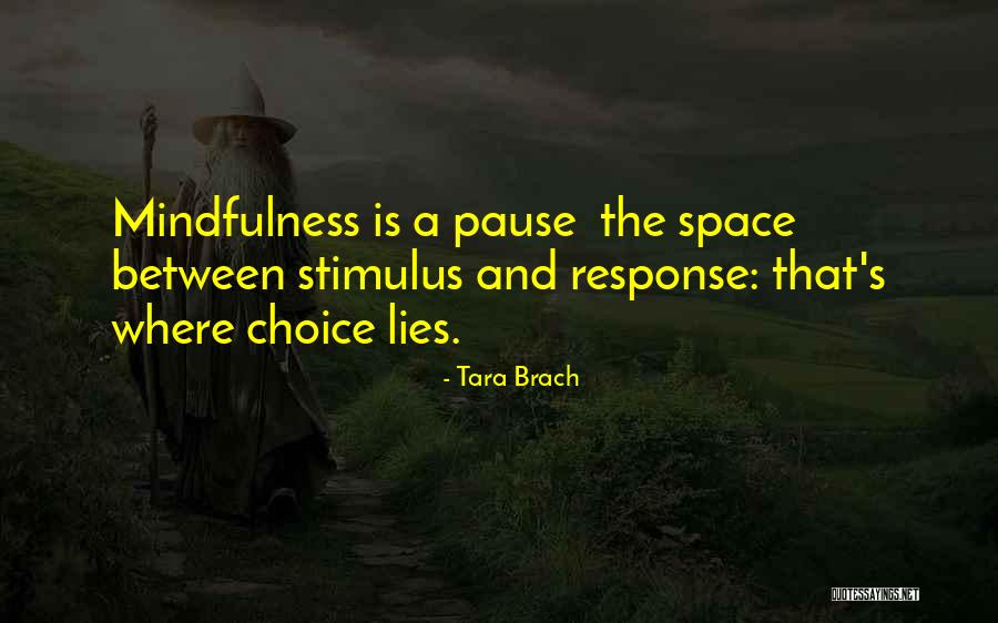 Th C3 Adch Nh E1 Ba A5t H E1 Ba A1nh Quotes By Tara Brach Th C3 Adch Nh E1 Ba A5t H E1 Ba A1nh Quotes By Tara Brach