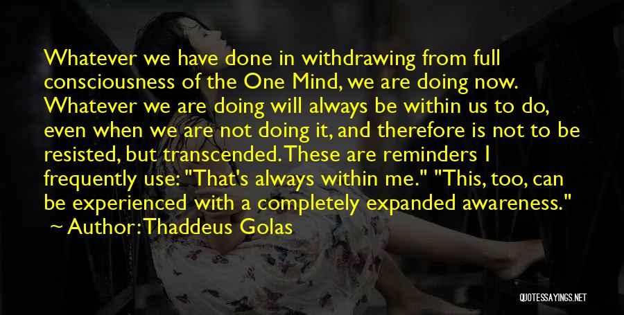 Thaddeus Golas Quotes 1530008