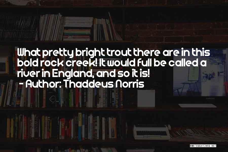 Thaddeus Norris Quotes 567333