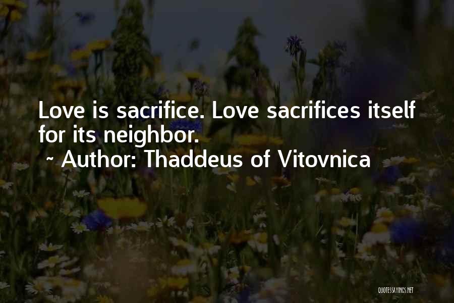 Thaddeus Of Vitovnica Quotes 2204019