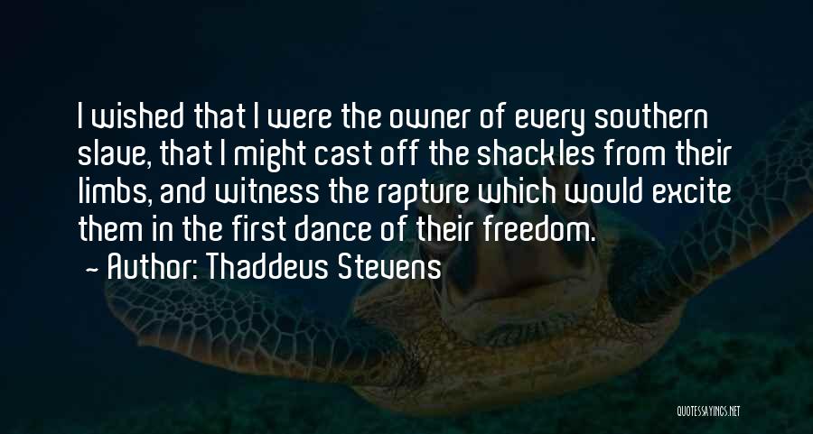 Thaddeus Stevens Quotes 718562