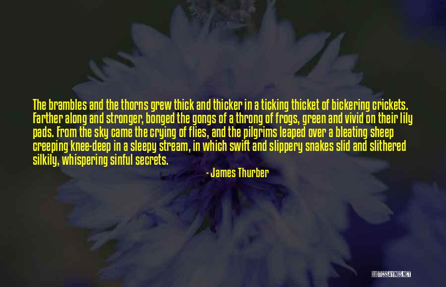 Thaddius Polarity Quotes By James Thurber Thaddius Polarity Quotes By James Thurber