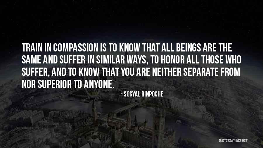 Thaddius Wow Quotes By Sogyal Rinpoche Thaddius Wow Quotes By Sogyal Rinpoche