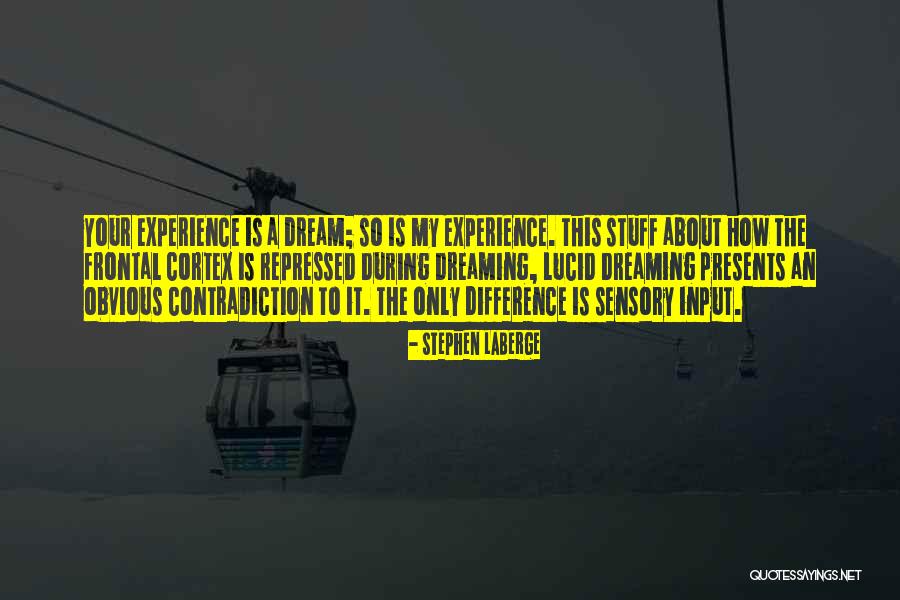 Thaine Fischer Quotes By Stephen LaBerge Thaine Fischer Quotes By Stephen LaBerge