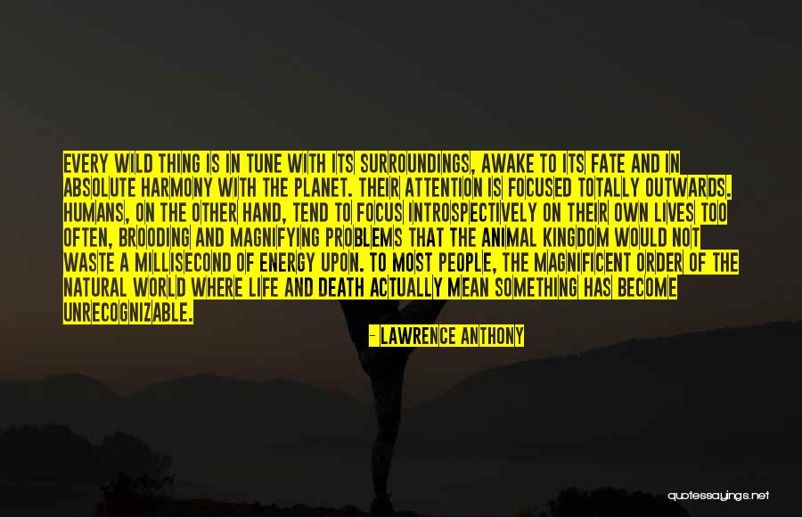 Thaksin Beef Quotes By Lawrence Anthony Thaksin Beef Quotes By Lawrence Anthony