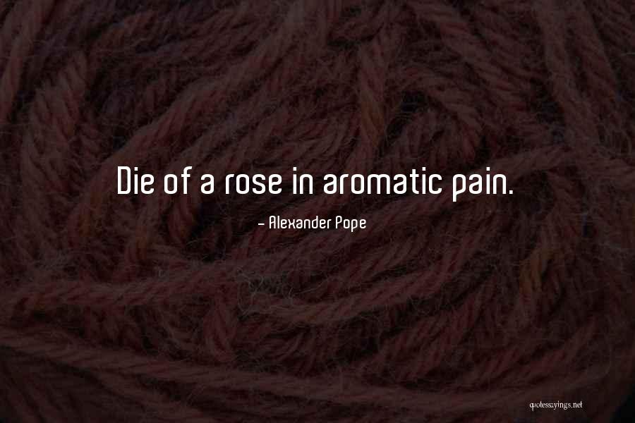 Thanassi Quotes By Alexander Pope Thanassi Quotes By Alexander Pope