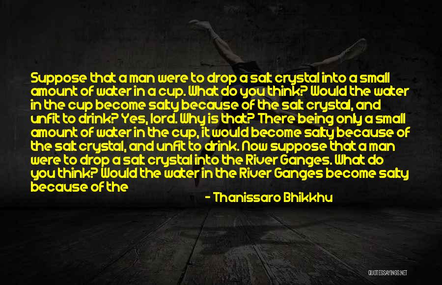 Thanissaro Bhikkhu Quotes 390044 Thanissaro Bhikkhu Quotes 390044