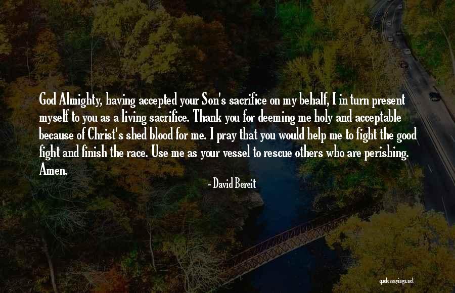 Thank God For My Son Quotes By David Bereit