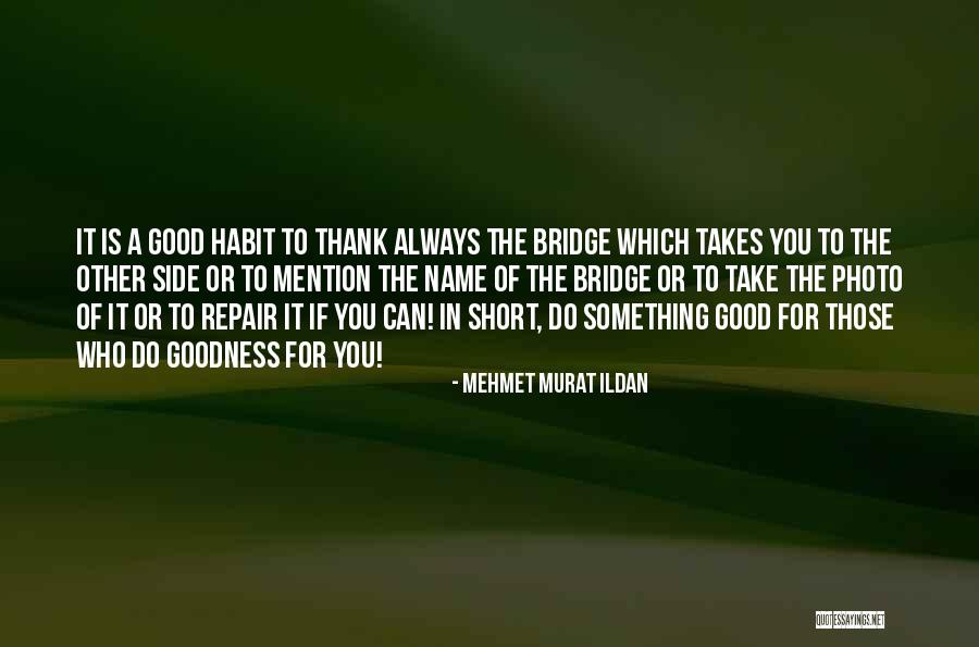 Thank Goodness Quotes By Mehmet Murat Ildan