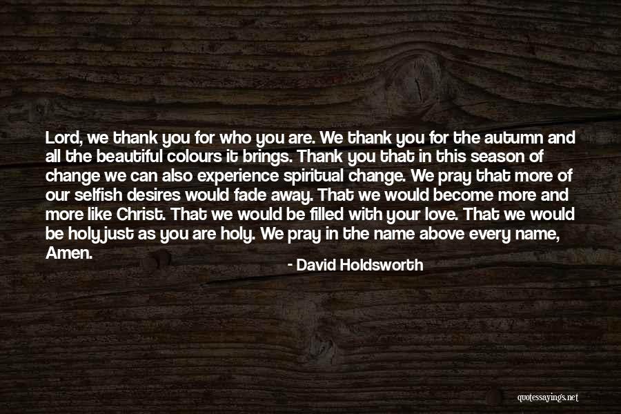 Thank You Also Quotes By David Holdsworth