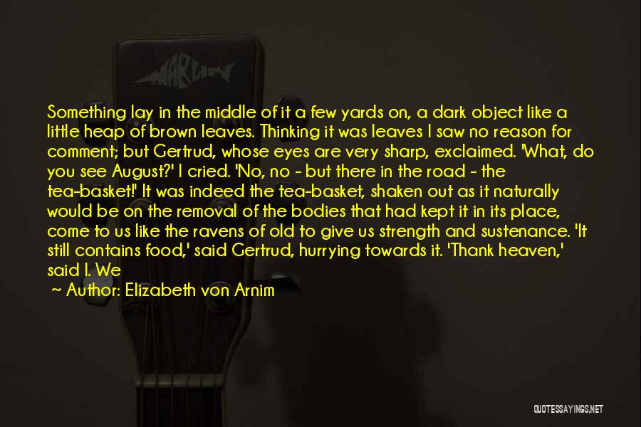 Thank You But No Thank You Quotes By Elizabeth Von Arnim Thank You But No Thank You Quotes By Elizabeth Von Arnim