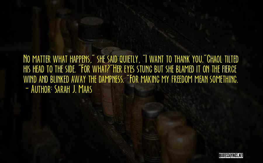 Thank You But No Thank You Quotes By Sarah J. Maas