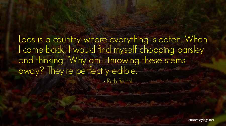 Thank You Donor Quotes By Ruth Reichl Thank You Donor Quotes By Ruth Reichl