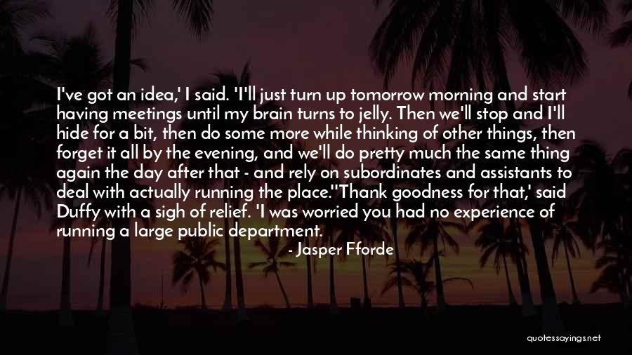 Thank You Experience Quotes By Jasper Fforde