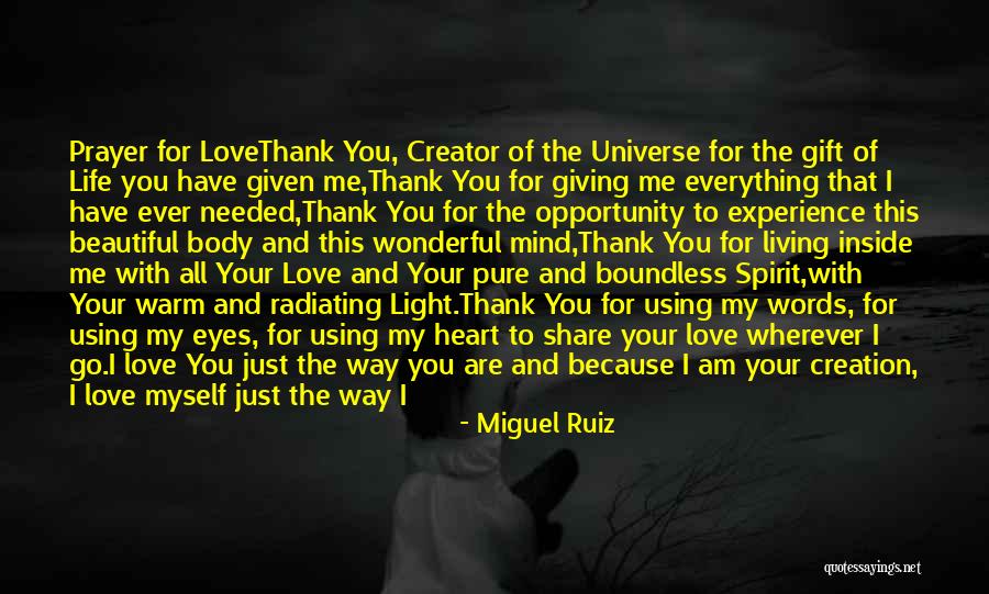 Thank You Experience Quotes By Miguel Ruiz