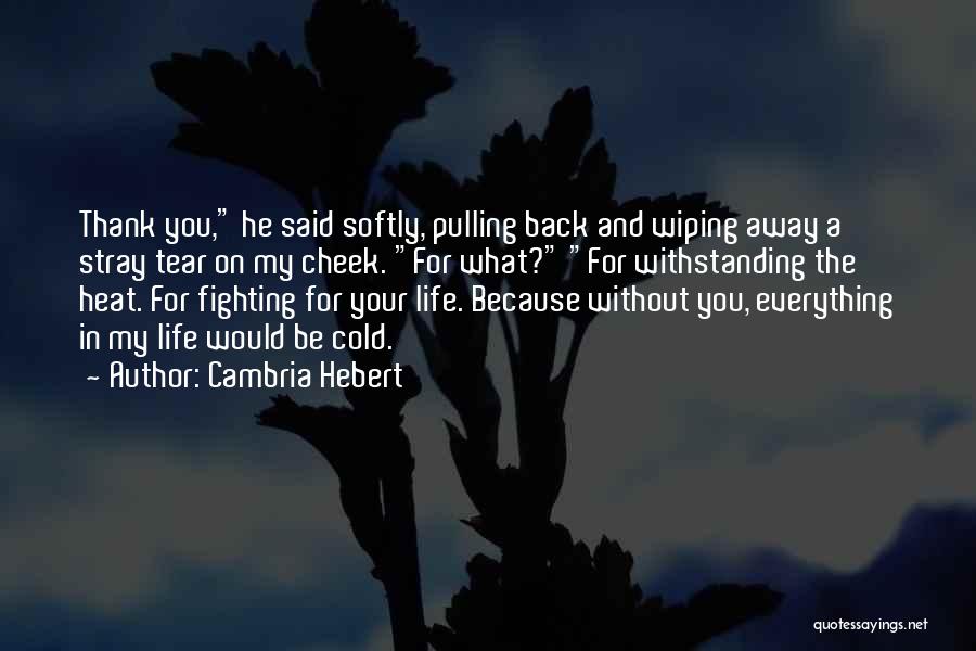 Thank You For Everything Quotes By Cambria Hebert