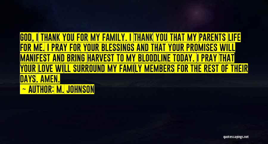 Thank You God For Family Quotes By M. Johnson