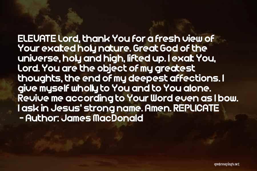 Thank You Lord Jesus Quotes By James MacDonald