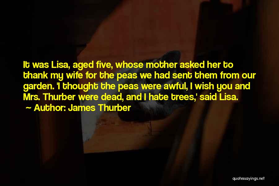 Thank You My Mother Quotes By James Thurber