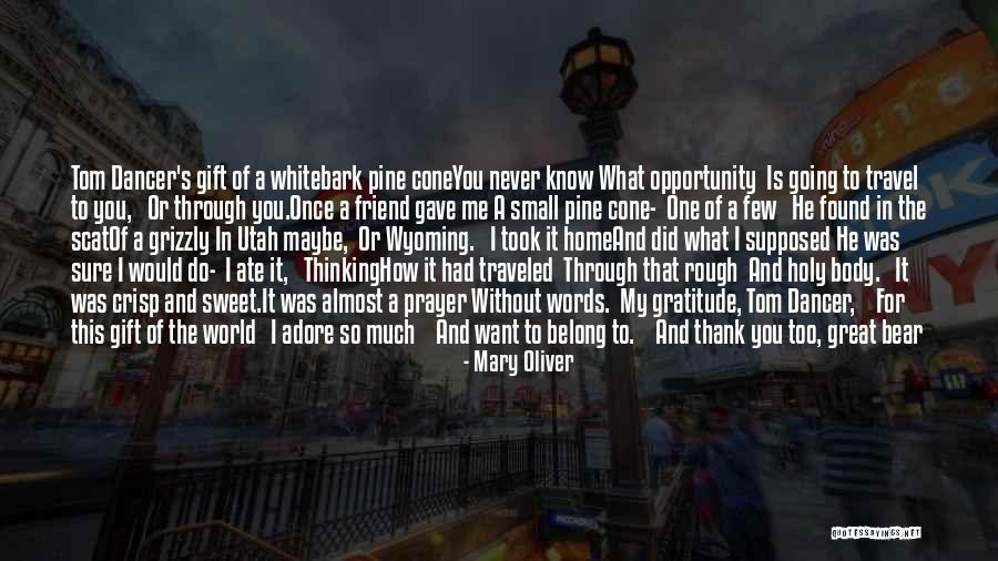 Thank You To A Friend Quotes By Mary Oliver Thank You To A Friend Quotes By Mary Oliver