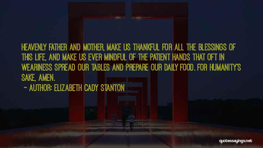 Thankful For Many Blessings Quotes By Elizabeth Cady Stanton