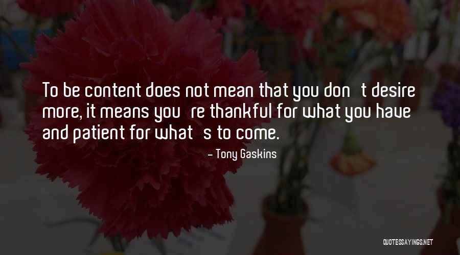 Thankful For What You Have Quotes By Tony Gaskins Thankful For What You Have Quotes By Tony Gaskins
