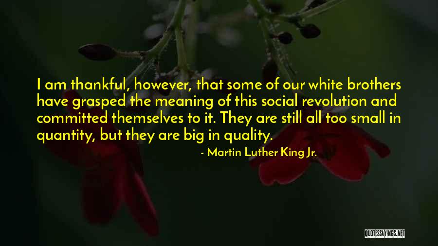 Thankful Quotes By Martin Luther King Jr. Thankful Quotes By Martin Luther King Jr.