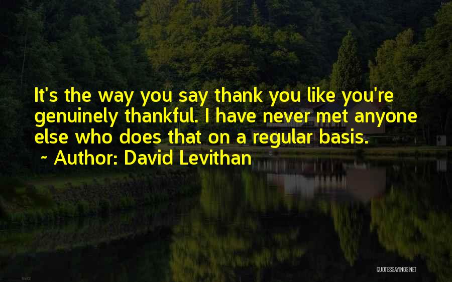Thankful To Have Met You Quotes By David Levithan