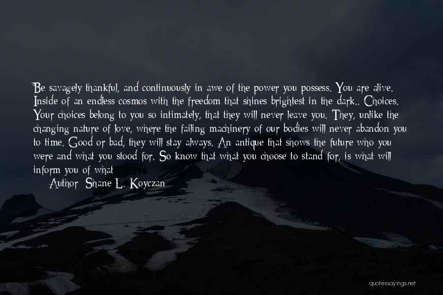 Thankful To Know You Quotes By Shane L. Koyczan