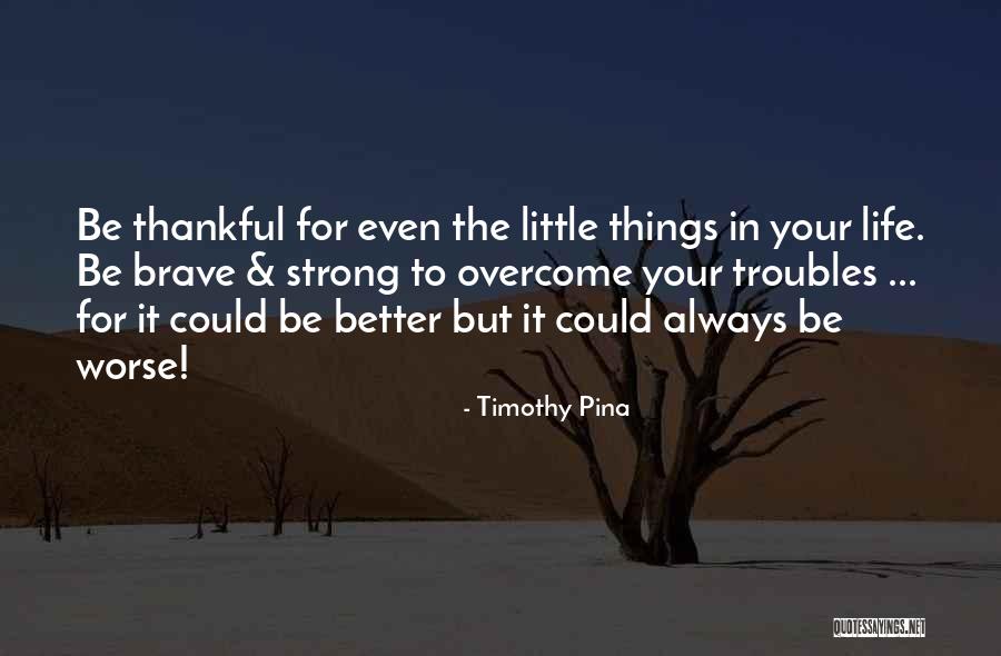 Thankful To Life Quotes By Timothy Pina