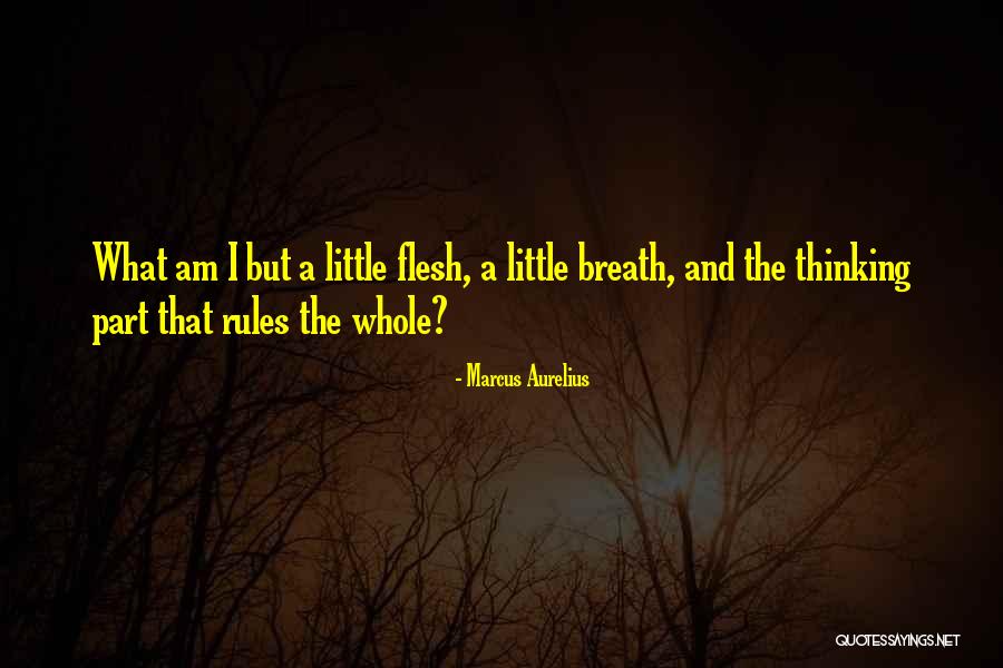 Thankfulness From The Bible Quotes By Marcus Aurelius Thankfulness From The Bible Quotes By Marcus Aurelius