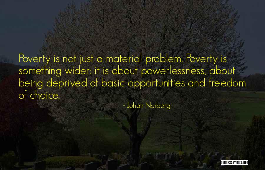 Thankhyou Quotes By Johan Norberg Thankhyou Quotes By Johan Norberg