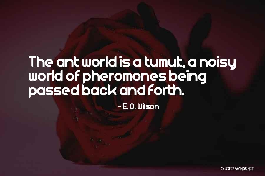 Thanks Alot Bin Laden Hangover Quotes By E. O. Wilson Thanks Alot Bin Laden Hangover Quotes By E. O. Wilson