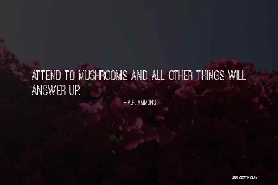 Thanks For Going The Extra Mile Quotes By A.R. Ammons