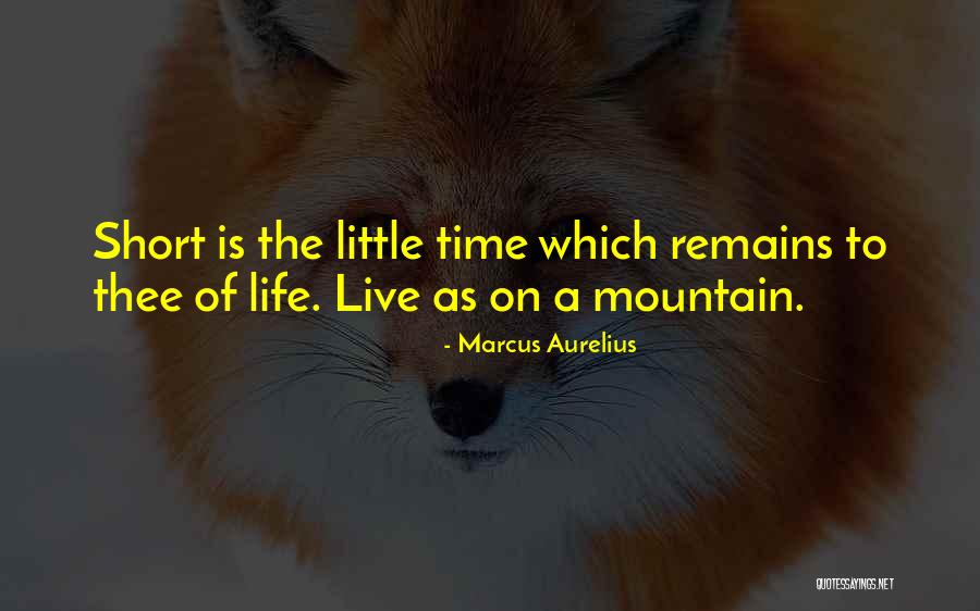 Thanks For The Memories Grey's Anatomy Quotes By Marcus Aurelius Thanks For The Memories Grey's Anatomy Quotes By Marcus Aurelius