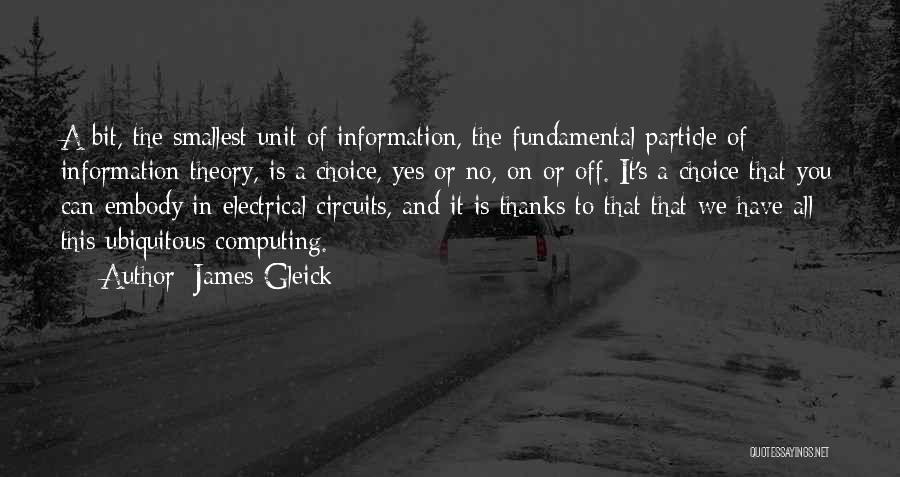 Thanks To You All Quotes By James Gleick