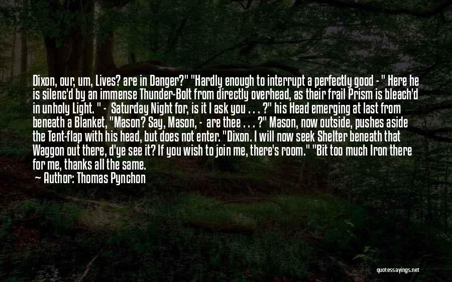 Thanks To You All Quotes By Thomas Pynchon