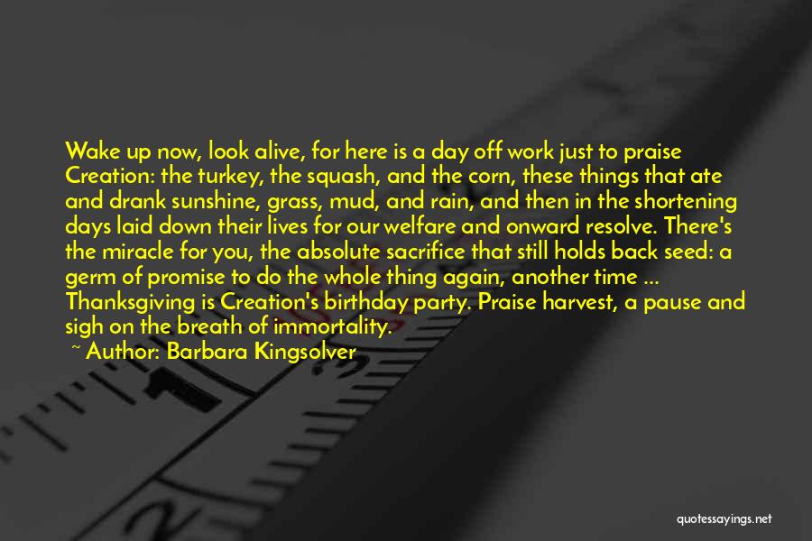 Thanksgiving Turkey Quotes By Barbara Kingsolver