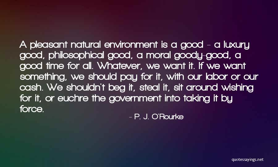 Tharini Chakraborty Quotes By P. J. O'Rourke Tharini Chakraborty Quotes By P. J. O'Rourke