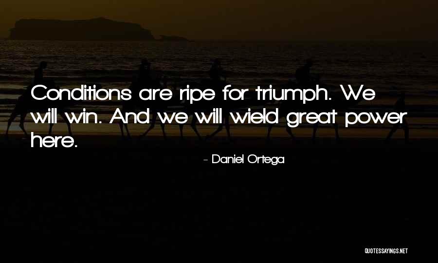 Tharman Shanmugam Quotes By Daniel Ortega Tharman Shanmugam Quotes By Daniel Ortega