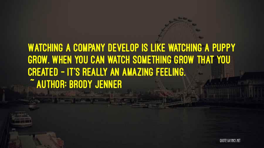 That Amazing Feeling When Quotes By Brody Jenner