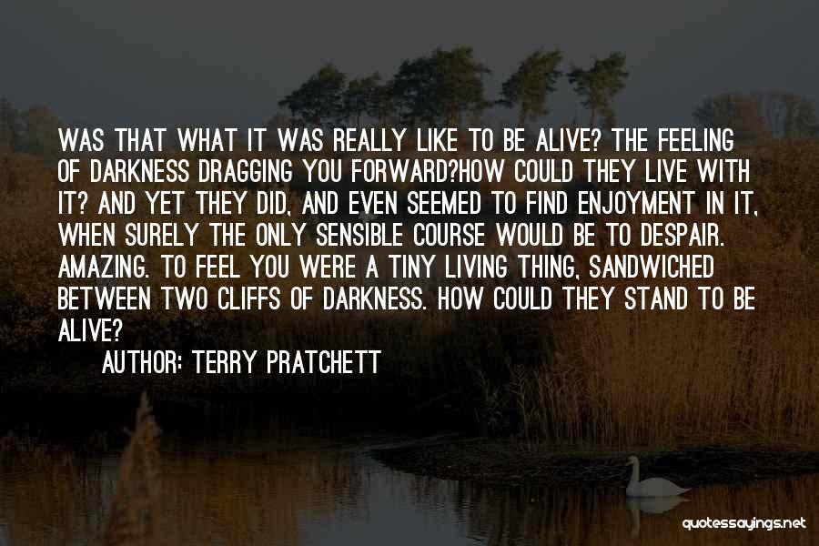 That Amazing Feeling When Quotes By Terry Pratchett
