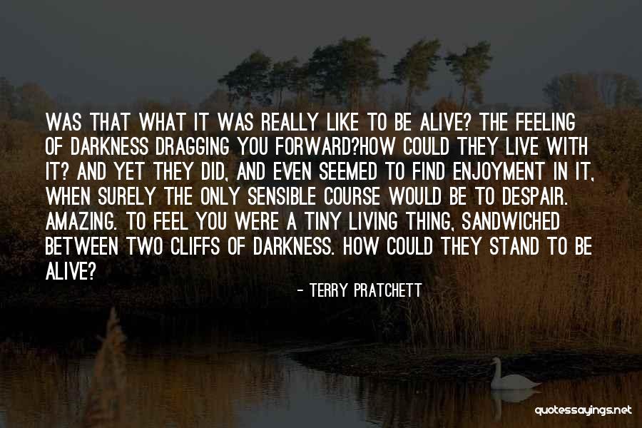 That Amazing Feeling When Quotes By Terry Pratchett