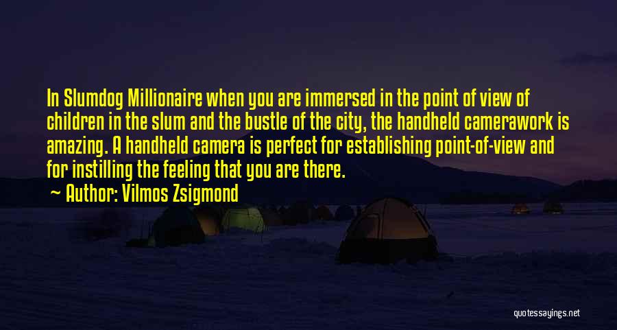 That Amazing Feeling When Quotes By Vilmos Zsigmond