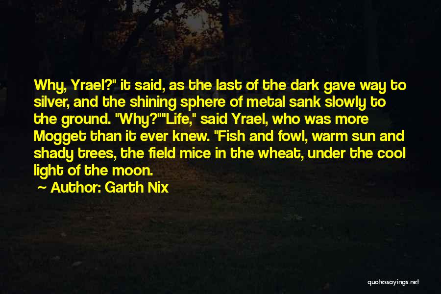 That Awesome Moment When Quotes By Garth Nix